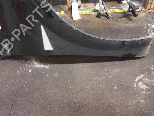 Right front fenders RENAULT MEGANE II (BM0/1_, CM0/1_)  | BP19897284C42 