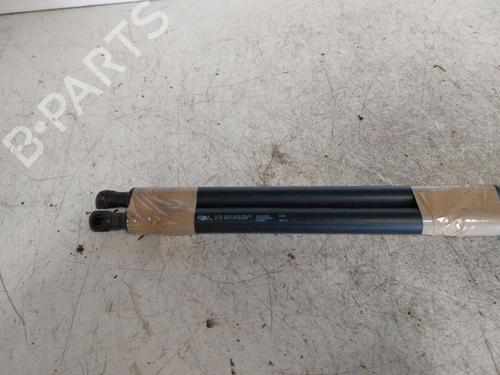 Tailgate lift support CITROËN C3 Picasso (SH_)  | BP19897045C138 