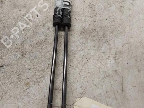 Tailgate lift support VW POLO (9N_, 9A_)  | BP19886750C138 