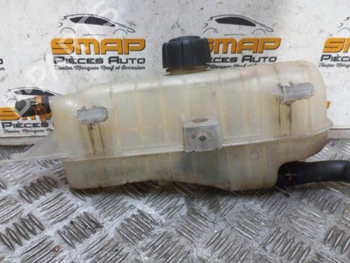 Used Expansion tank RENAULT CLIO III (BR0/1, CR0/1) [2005-2014]  19880832