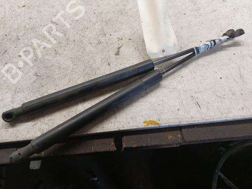 Tailgate lift support VW GOLF V (1K1)  | BP19896887C138 