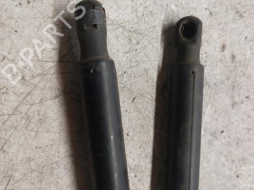 Tailgate lift support VW GOLF V (1K1)  | BP19896887C138 