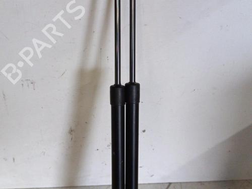 Used Tailgate lift support FIAT PANDA (169_) 1.3 D Multijet (169.AXC1A) (70 hp) 21981562