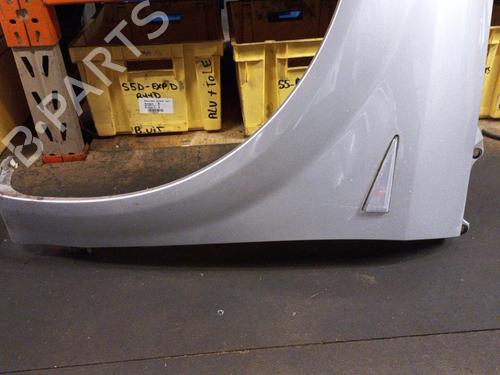 Left front fenders RENAULT SCÉNIC II (JM0/1_) 1.9 dCi | BP19888948C41 