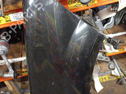 Right front fenders RENAULT MEGANE II (BM0/1_, CM0/1_)  | BP19897284C42 