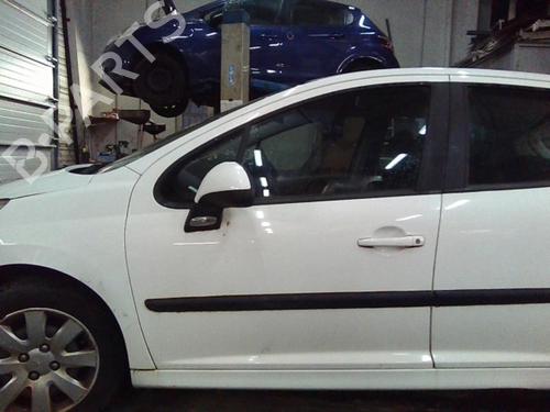 Used Left front door PEUGEOT 207 (WA_, WC_) 1.4 HDi (68 hp) 19888331