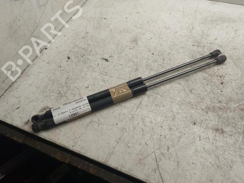 Tailgate lift support DACIA SANDERO II 1.5 Blue dCi 95 (B8JL) | BP19896740C138