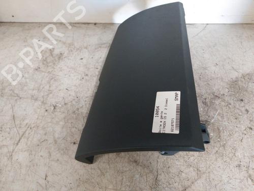 Glove box CITROËN C5 III (RD_) 2.0 HDi 140 (RDRHF8, RDRHFA, RDRHA8, RDRHAJ) | BP25001482C95 