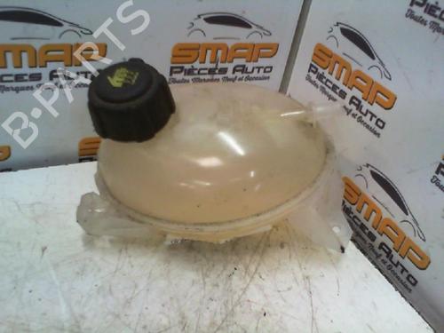 Used Expansion tank DACIA DOKKER MPV (KE_) 1.5 dCi / Blue dCi 75 (KEAJ, KEAH, KEJW) (75 hp) 21975213