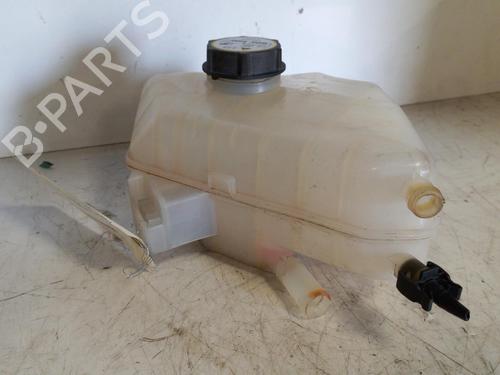Used Expansion tank FORD FIESTA VI (CB1, CCN) 1.25 (60 hp) 19883169