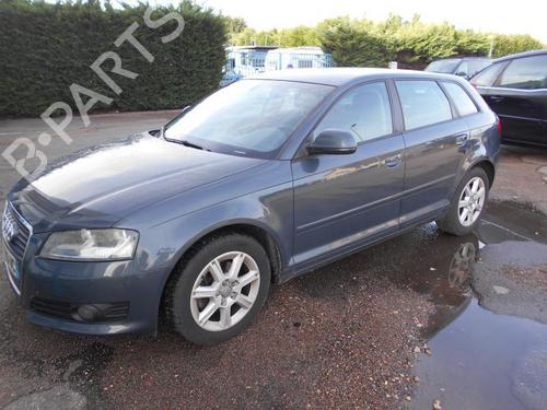 Tailgate AUDI A3 Sportback (8PA)  | BP19880828C6 
