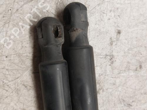 Tailgate lift support OPEL ZAFIRA / ZAFIRA FAMILY B (A05) 1.7 CDTI (M75) | BP21991680C138 