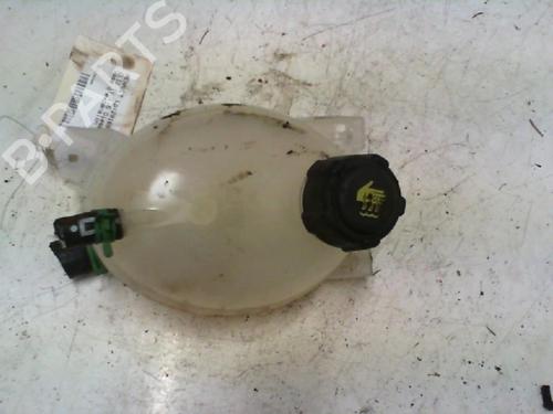 Used Expansion tank RENAULT CLIO IV (BH_) 1.5 dCi 75 (75 hp) 21974840