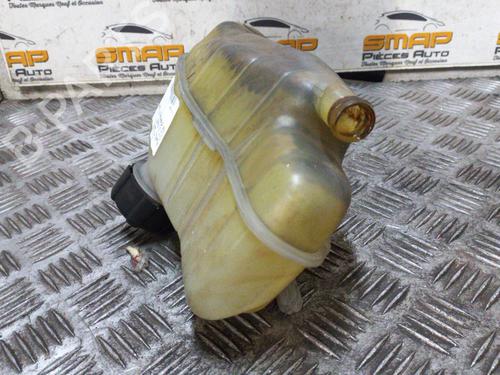 Used Expansion tank RENAULT CLIO II (BB_, CB_) [1998-2016]  19890400