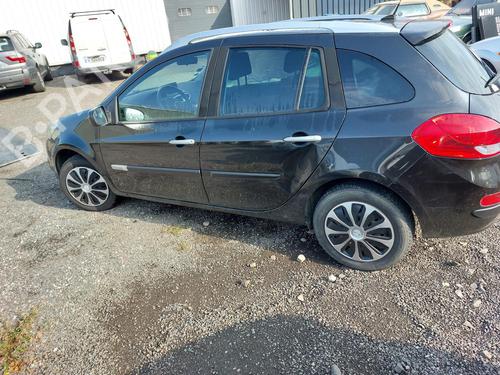 Tailgate lift support RENAULT CLIO III (BR0/1, CR0/1)  | BP19881896C138 