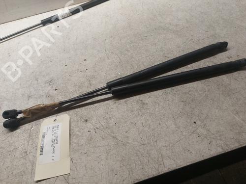 Tailgate lift support AUDI A3 Sportback (8PA)  | BP19881465C138 