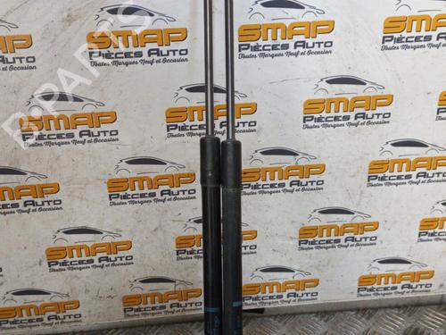 Used Tailgate lift support RENAULT MEGANE III Coupe (DZ0/1_) 2.0 TCe (DZ1N) (250 hp) 19883818