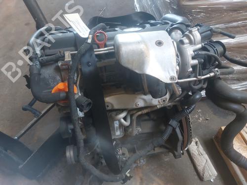 Motor VW GOLF V (1K1)  | BP21993925M1 