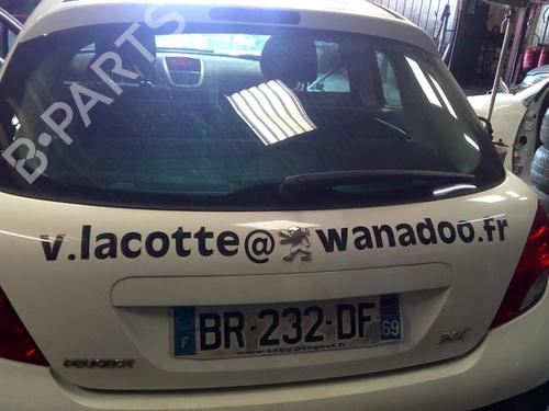 Used Tailgate PEUGEOT 207 (WA_, WC_) 1.4 HDi (68 hp) 19884190