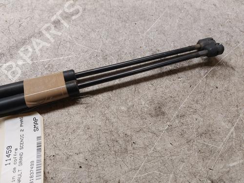 Tailgate lift support RENAULT SCÉNIC II (JM0/1_)  | BP21987765C138 