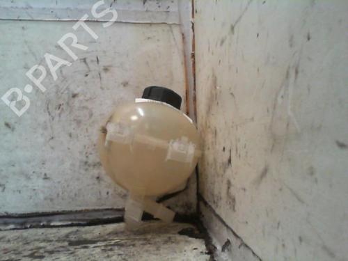 Used Expansion tank CITROËN DS3 (SA_) 1.6 HDi 90 (92 hp) 21189936