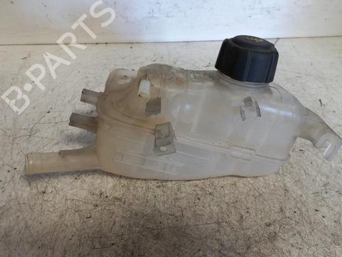 Expansion tank RENAULT SCÉNIC III (JZ0/1_) 1.5 dCi | BP19881504C120 