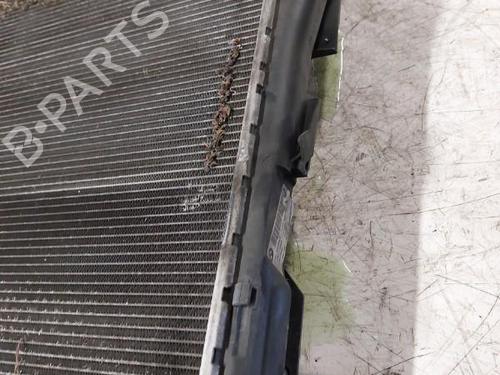 Water radiator BMW X3 (E83)  | BP19901933M31 