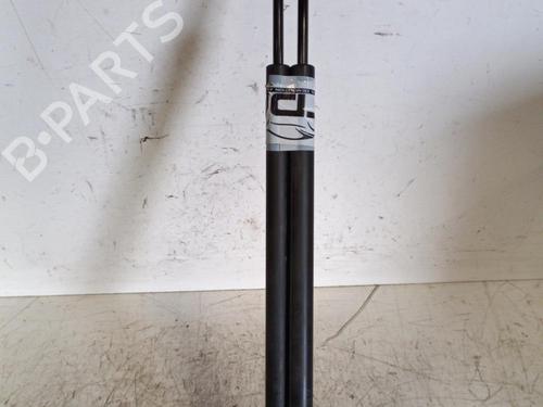 Used Tailgate lift support FORD FIESTA V (JH_, JD_) 1.4 TDCi (68 hp) 19893048