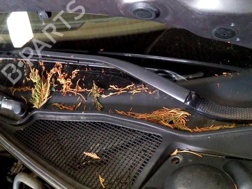 Used Front windshield wiper arm RENAULT LAGUNA II (BG0/1_) [2001-2007]  19890809