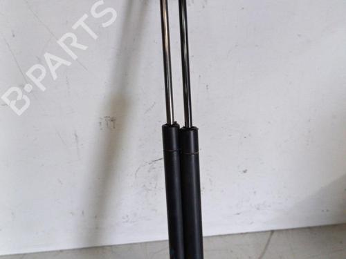 Used Tailgate lift support RENAULT GRAND SCÉNIC II (JM0/1_) [2004-2009]  19880224