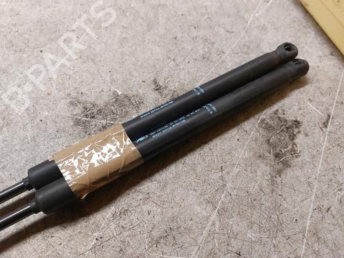 Tailgate lift support CITROËN C3 I (FC_, FN_) 1.4 i | BP21995755C138 