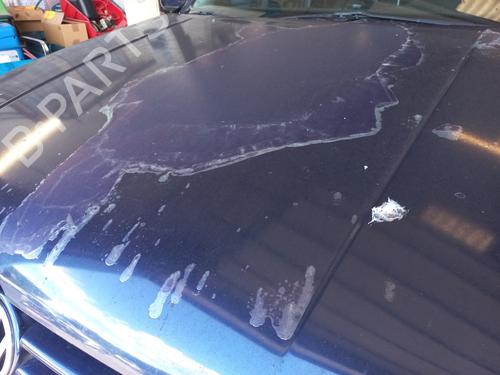 Hood VW GOLF IV (1J1) 1.9 TDI | BP26577694C1 
