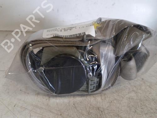 Front left belt tensioner RENAULT SCÉNIC III (JZ0/1_) 1.5 dCi | BP19882116C87 