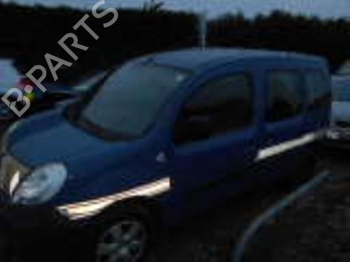 Left front fenders RENAULT KANGOO / GRAND KANGOO II (KW0/1_) 1.5 dCi 85 (KW0K, KW0L, KW0B) | BP19881700C41 