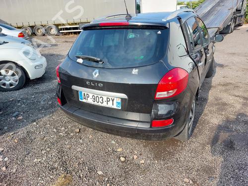 Tailgate lift support RENAULT CLIO III (BR0/1, CR0/1)  | BP19881896C138 