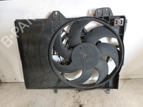 Used Radiator fan PEUGEOT 207 (WA_, WC_) 1.6 HDi (90 hp) 19882143
