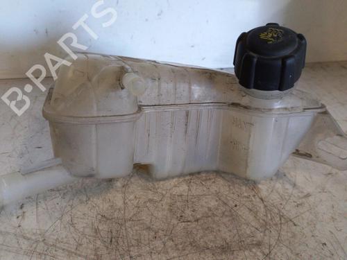 Used Expansion tank RENAULT SCÉNIC II (JM0/1_) [2003-2010]  19880335