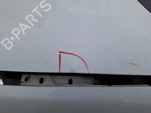Used Hood FIAT PUNTO EVO (199_) 1.3 D Multijet (199AXC1A, 199BXC1A, 199AXT1A, 199BXT1A) (75 hp) 21986225