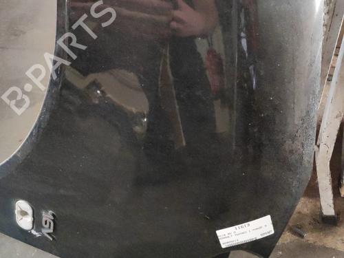 Left front fenders RENAULT TWINGO I (C06_)  | BP19886046C41 