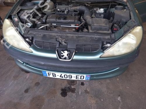 Grill PEUGEOT 206 Hatchback (2A/C) 1.4 i (75 hp) 27651516