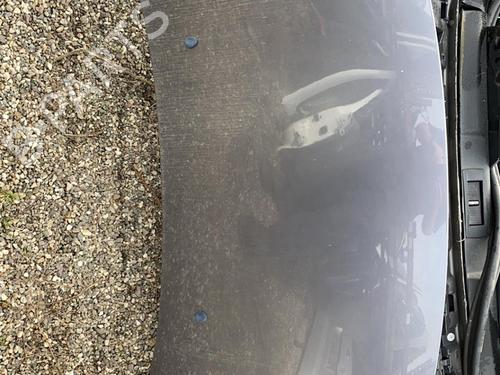 Motorhaube für CITROËN C3 I (FC_, FN_) [2002-2013]  19898657