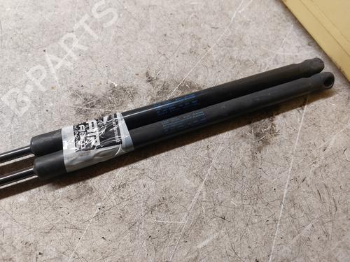 Tailgate lift support VW POLO V (6R1, 6C1) 1.6 TDI | BP21994875C138 