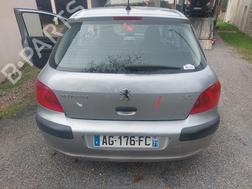 Left headlight PEUGEOT 307 (3A/C) 1.6 16V | BP24313820C28 