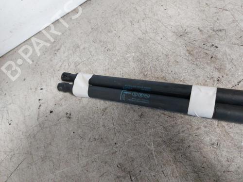 Used Tailgate lift support OPEL MERIVA B MPV (S10) [2010-2017]  19894061
