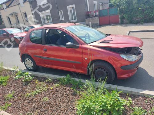 Left mirror PEUGEOT 206 Hatchback (2A/C)  | BP19892543C26 
