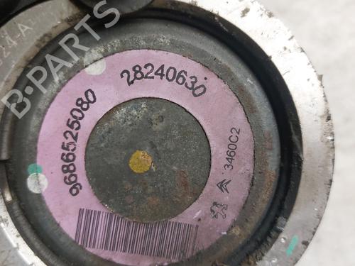 Steering pump PEUGEOT 206+ (2L_, 2M_) 1.1 | BP21997750M99 