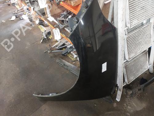Used Left front fenders RENAULT SCÉNIC III (JZ0/1_) 1.5 dCi (110 hp) 19881658