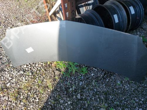Hood RENAULT MODUS / GRAND MODUS (F/JP0_) 1.5 dCi (FP0F, JP0F) | BP19901012C1 