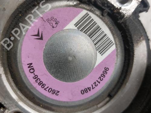 Servostyringspumpe PEUGEOT 206 Hatchback (2A/C)  | BP21994013M99 