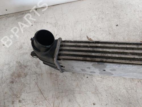 Intercooler FIAT DOBLO MPV (119_, 223_) 1.3 D Multijet | BP21984078M30 